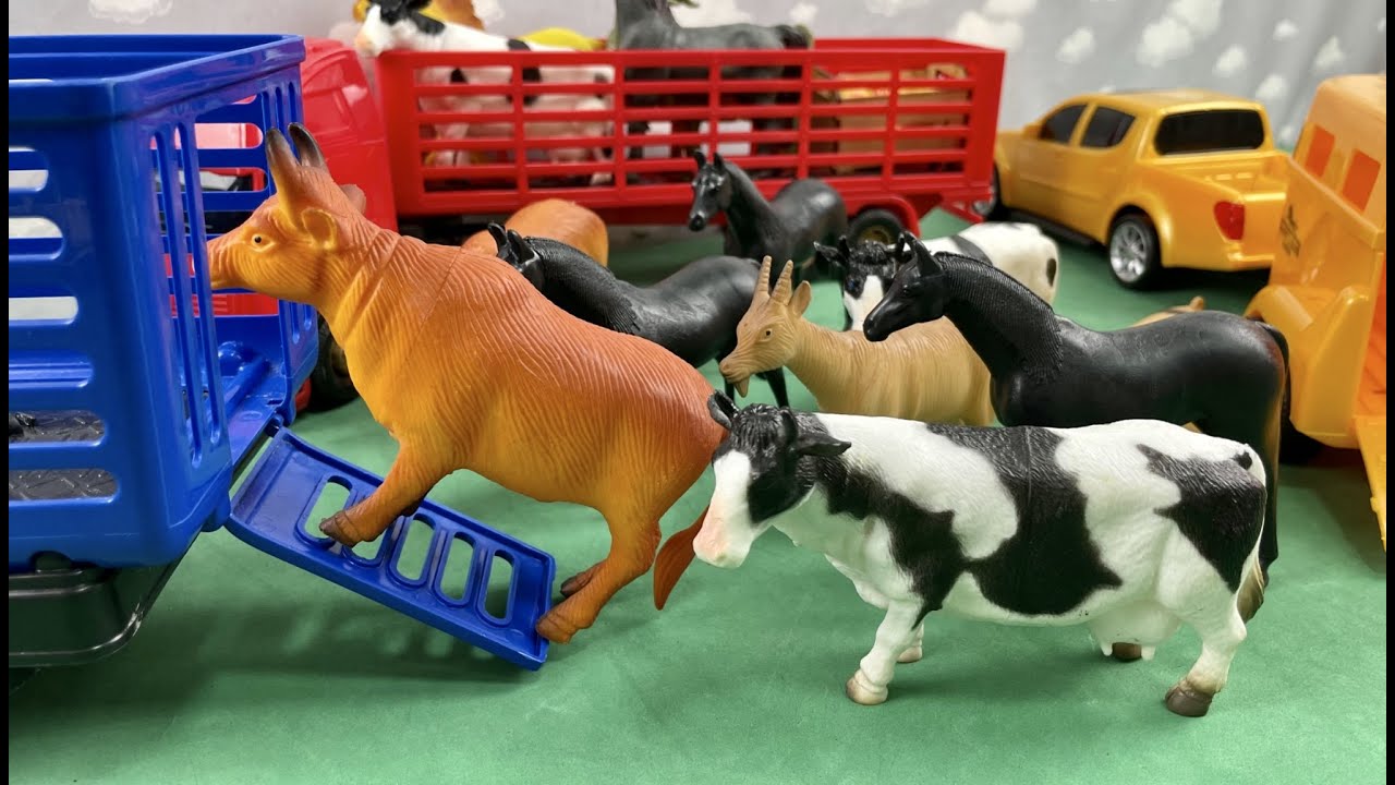 COWS, HORSES, OXEN, GOAT AND PIGS / VACAS, CAVALOS, BOIS, TOURO, CABRA E PORCOS