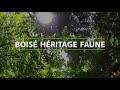 Boisé Héritage faune