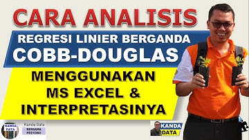 Analisis Regresi Linier Berganda Cobb-Douglas di Ms Excel dan Cara Interpretasi Hasilnya