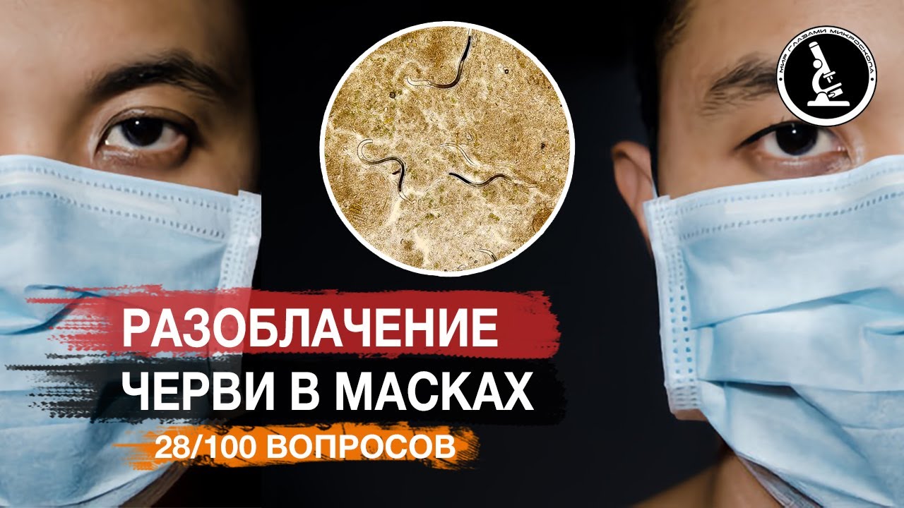 Секс Насилия Червяки