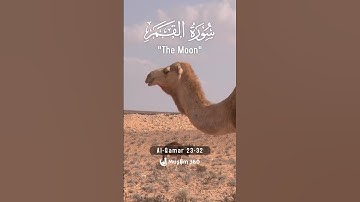 Surah Al-Qamar 23-32: English Audio Translation | سورة القمر