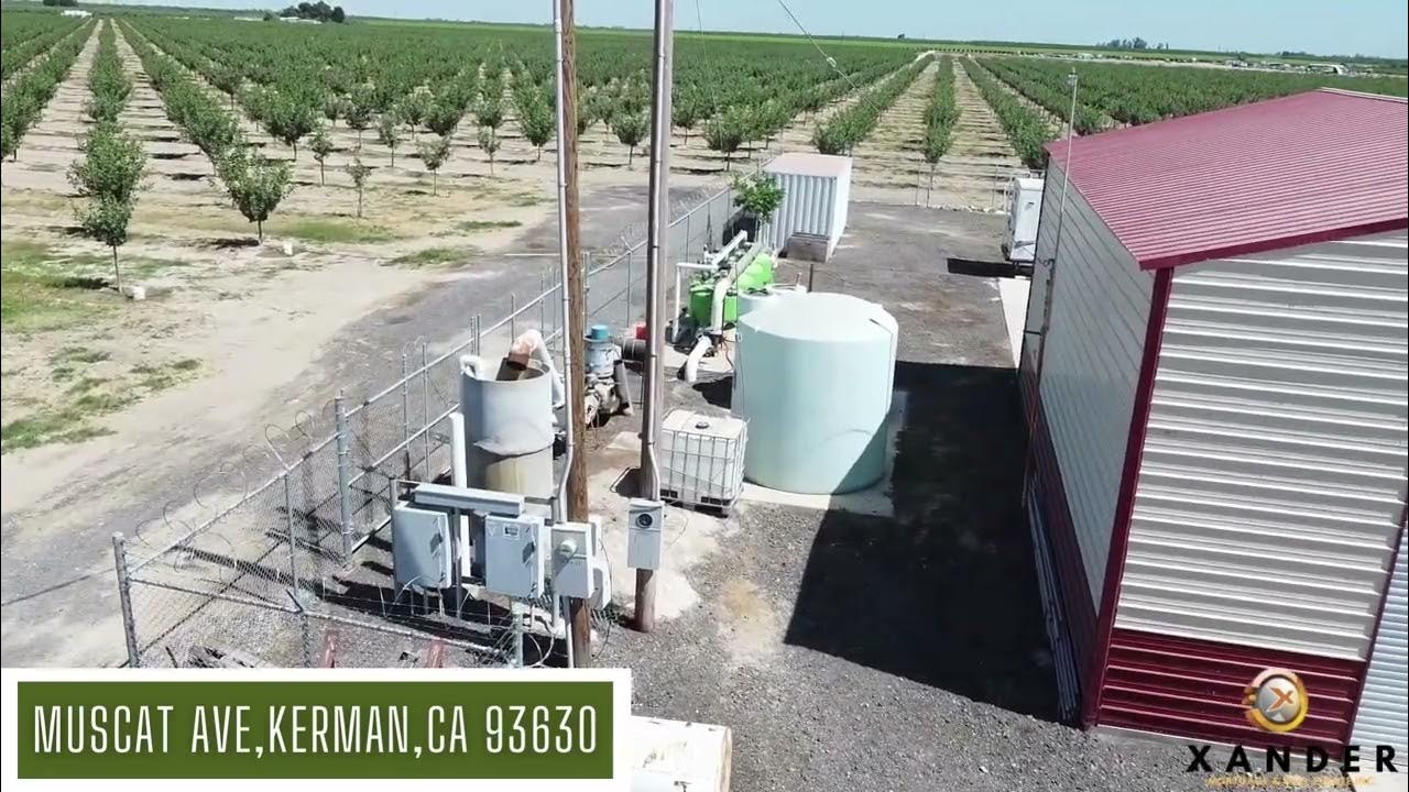 100 acres Pistachios for Sale Kerman CA YouTube