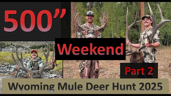 9x6 WYOMING MULE DEER HUNT! THE 500 INCH WEEKEND 2025 PART 2.