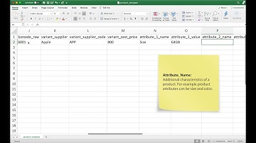 EPOS POS System - Product Bulk Import For Product With Variants