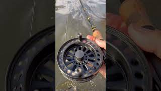 Trotten am Fluss ist pure Entspannung. Mehr dazu gibt’s im neusten Video auf meinem Kanal