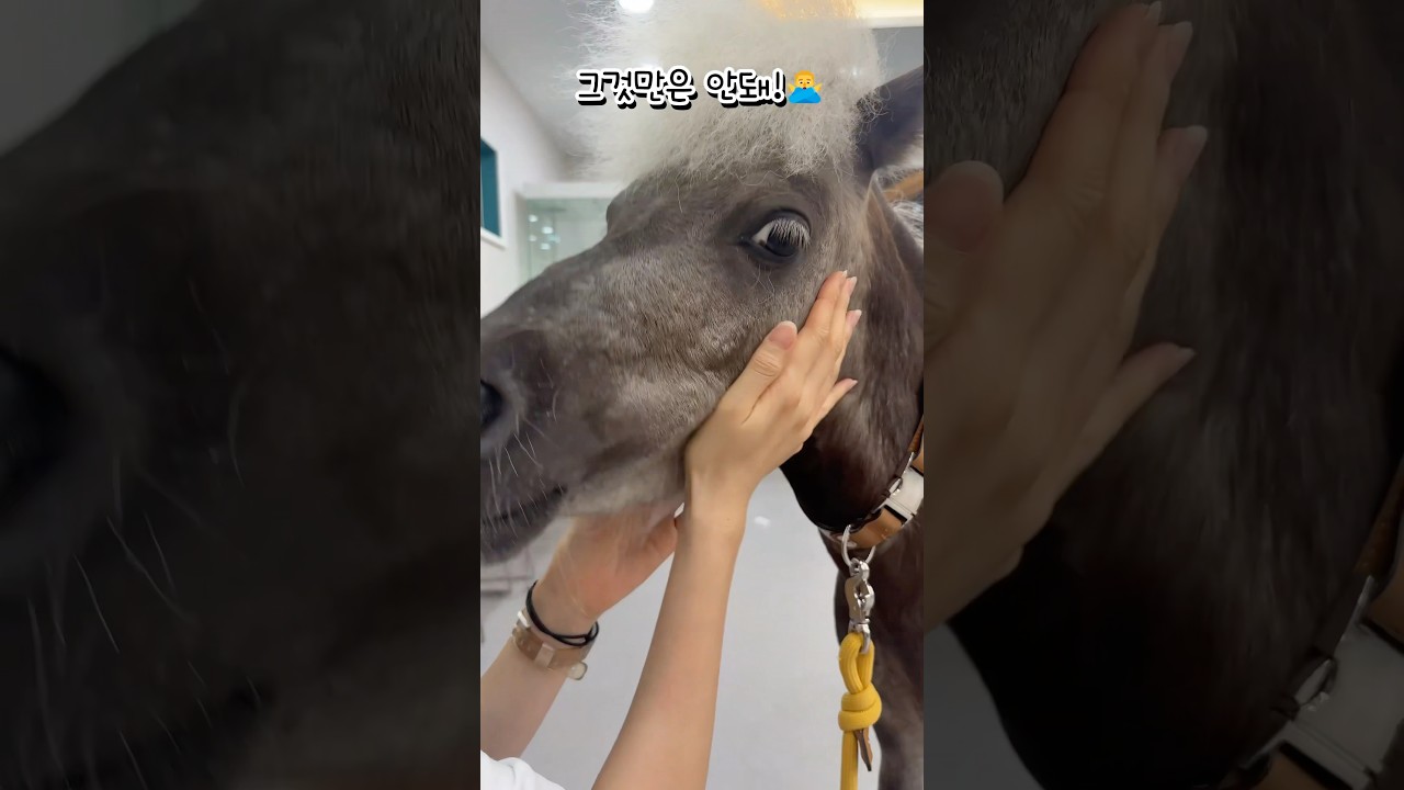 나만의 스타일이 있다구!!😤 I have my own style