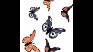 andre popp las mariposas, butterflies papillons