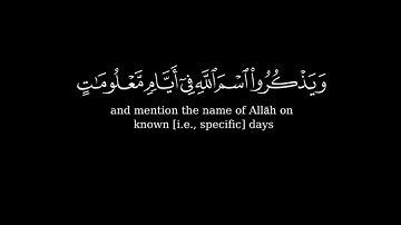 كرومة شاشة سوداء بصوت الشيخ #سعود_الشريم#سورة_الحج#كرومات_الحج