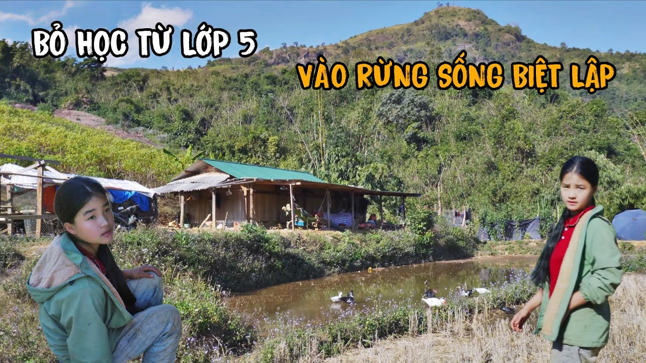 Một gia đình sống biệt lập trong rừng 1 năm mới ra bản 1 lần vào dịp tết. Sống ẩn mình bình yên