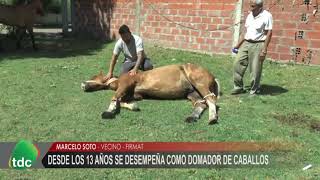 Entrevista en la TV TDC  hace 2 años #caballos