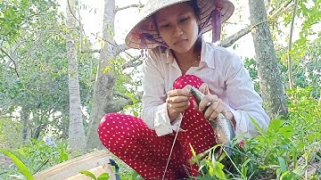 Cá Lóc Nướng Trui Rơm /Món Ăn Dân Dã Của Người Miền Tây/Ẩm Thực Bếp Củi Miền Tây