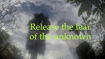 noaccordion-Change is Constant (Official Lyric Video)