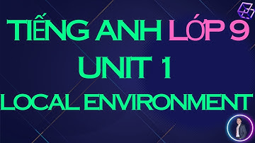 Tiếng Anh Lớp 9 Unit 1 Chương Trình Mới | Local Environment