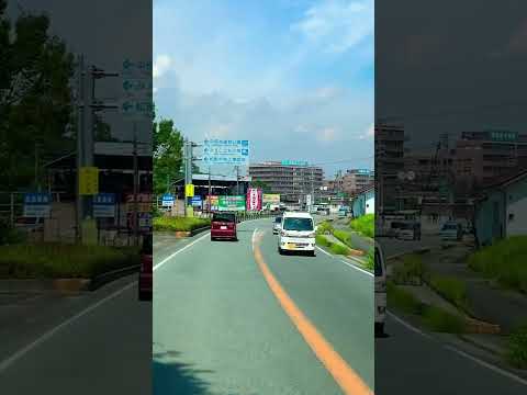 Look At Guys This Place Of Mieken Matsusaka Japan Shorts Shortsfeed 