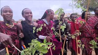 Masai   Eunoto celebration