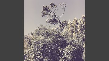 High-class Music for Good Vibes