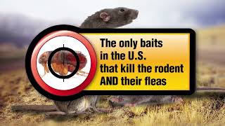 Kaput Combo Baits (2022)