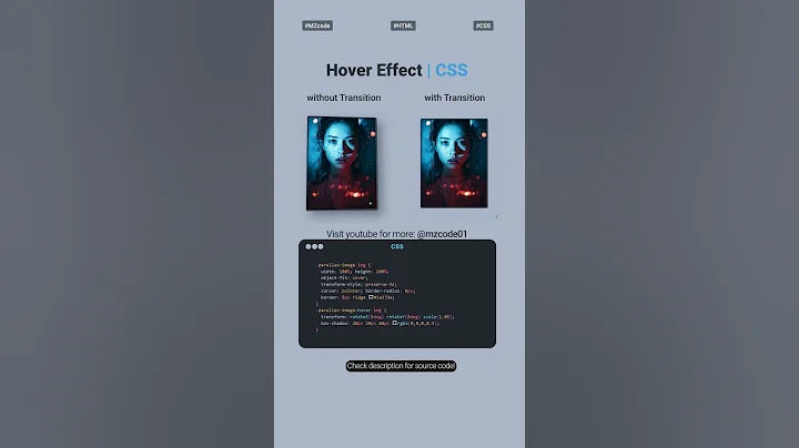 Amazing CSS Hover Effects & Transitions (Easy Tutorial) 🚀 – Stunning Web Animations! #csshovereffect