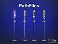 Shape Clean Pack: Glide Path Management - Path Files: Dr. Ruddle Advanced Endodontics