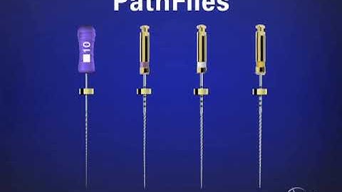 Shape Clean Pack: Glide Path Management - Path Files: Dr. Ruddle Advanced Endodontics
