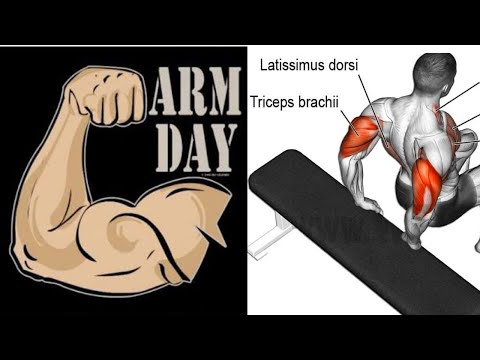 Video: Piceps Və Triceps Haradadır