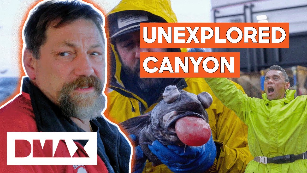 Despite BROKEN HAND Hannes Huswick Helps Jake Achieve $300,000 Quota! | Deadliest Catch