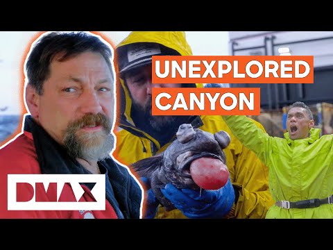 Johnathan Finds Unknown Species | Deadliest Catch