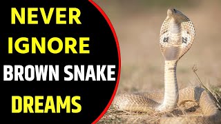 Celebrity What does Brown Snake dream meaning || Dreaming of Brown Snake || Brown Snake dreams Interpretation Profile
