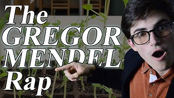 The GREGOR MENDEL Rap // Collab with @eibze