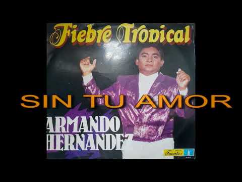 Putar Sin Tu Amor - Armando Hernandez