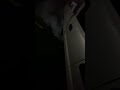 Badass 05 LLY Duramax Burnoutрџ Ґ Badass 05 LLY Duramax Burnoutрџ Ґ