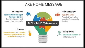 【MHC Tetramer】1. Introduction