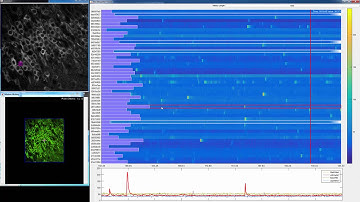 ScanImage 2016 - Roi Integration