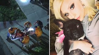 video: Woman who returned Lady Gaga's stolen French bulldogs among five people arrested over theft