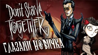 DON'T STARVE TOGETHER глазами новичка