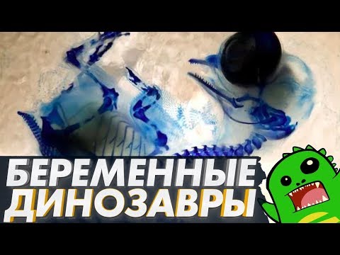 Видео: Зачем нужно живорождение и почему у динозавров его не было?