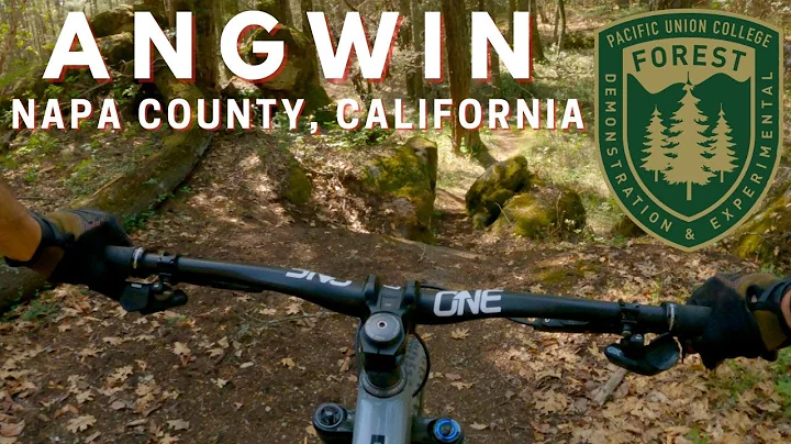 A wonderland of trails | Mountain biking Angwin, Ca