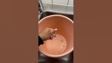 Making Injera #shorts