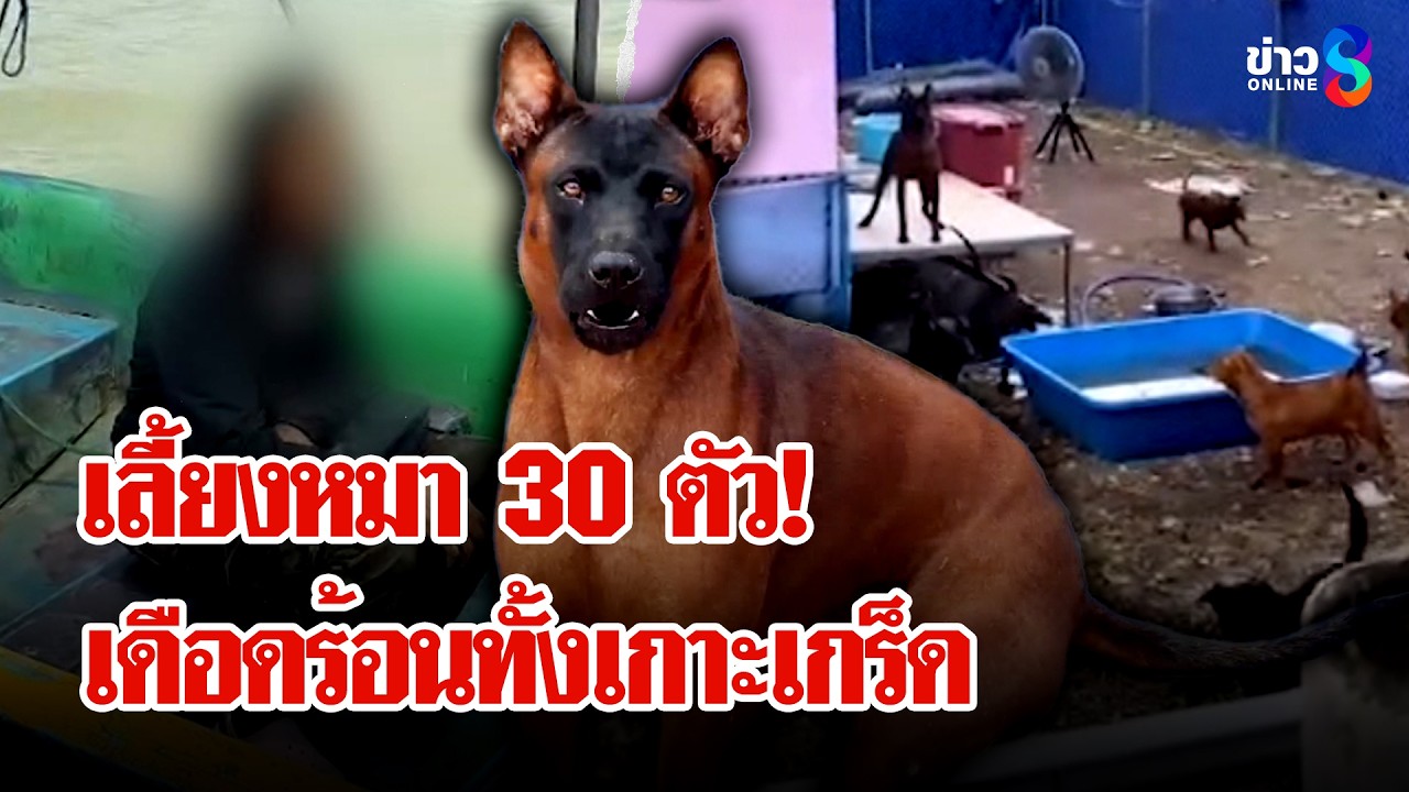 เหม็นทั้งซอย! 