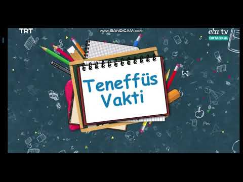 Eba Tv Teneffüs
