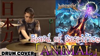 【Brand of Sacrifice】V系ドラマーが『Animal』に挑戦!! #DEVILOOF #Drumcover #metal #drum