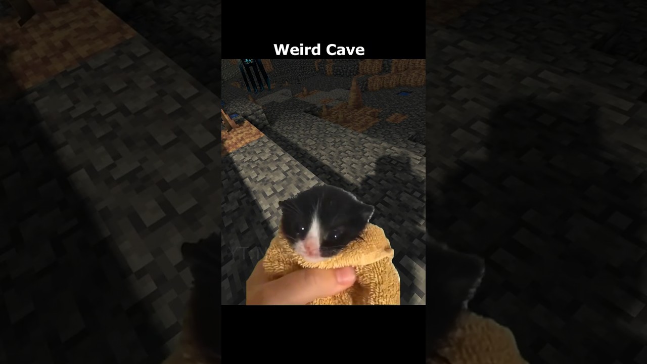 Cats in Minecraft 6 [Memes]