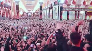Video Download