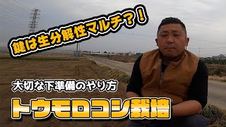 【人件費削減】とうもろこし栽培の定植までの準備のやり方〜鍵は生分解性マルチ