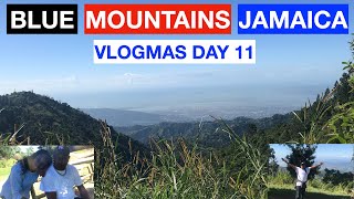 BLUE MOUNTAINS JAMAICA - VLOGMAS DAY 11