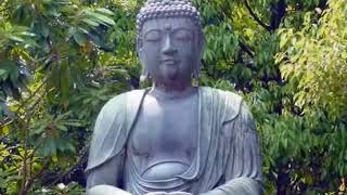 I AM NOT ENJOYING THIS WORLD PARTY~ AWAKENINGLIFE~ MOOJI JI