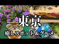 【東京癒しスポット&グルメ】紫陽花が美しいこの時期 文京区あじさい祭り開催中の白山神社へ SNS話題の法輪寺で癒されました。グルメでは本格派のタイ料理、美登利寿司、今頃になってハマっている麻辣湯♪