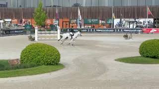 SX - JOY - 140cm - Opglabbeek