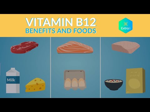 Stay Energized: Top Vitamin B12 Foods &amp; Their Benefits