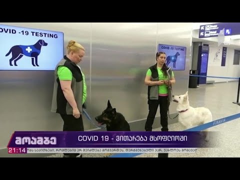 COVID 19 - ვითარება მსოფლიოში